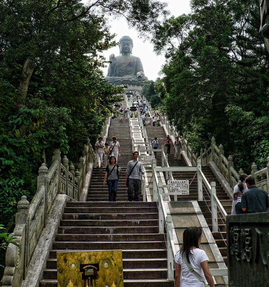 Steps to the Great Buddha
