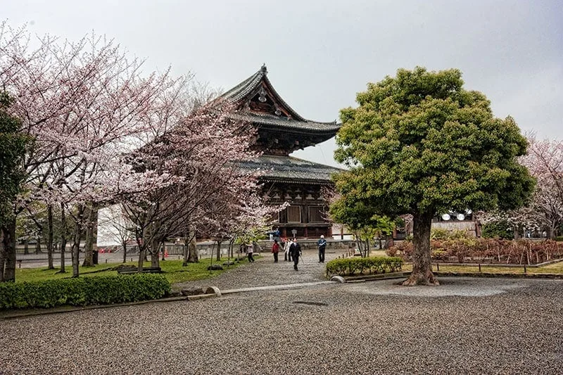Best temples in Kyoto - Toji