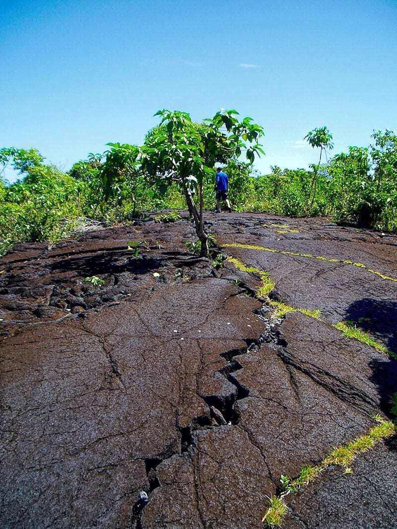 Samoa's Saleaula lava fields