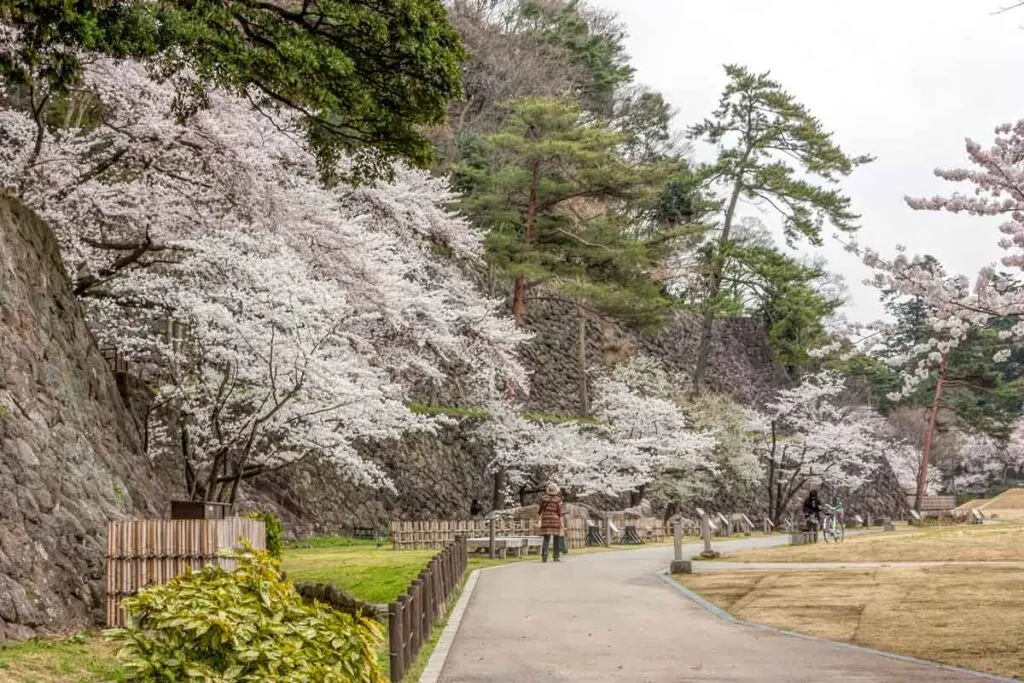 Kanazawa Castle park and stone walls