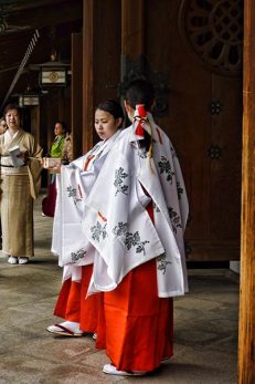How to visit a Shinto Shrine in Japan