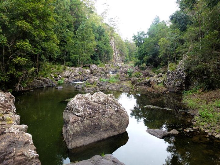 A walk in Obi Obi at Maleny