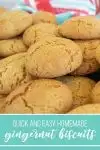 Gingernut biscuits on a pinterest poster