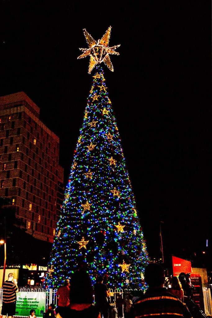Brisbane city Christmas Tree