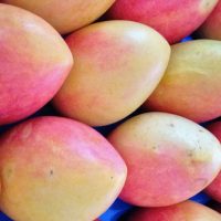 Creamy Mango Icecream | 2AussieTravellers.com