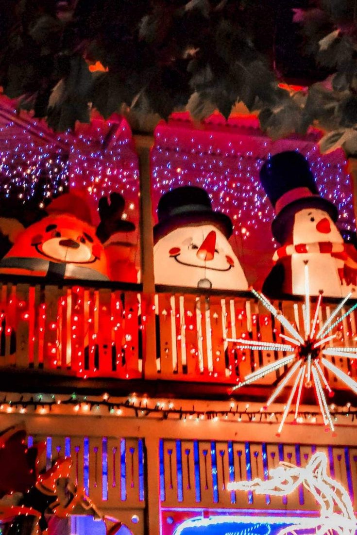 The best Auckland Christmas Lightup