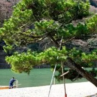 Arashiyama | www.2aussietravellers.com