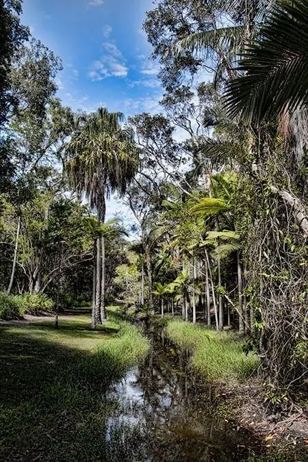 Hervey Bay Botanical Gardens