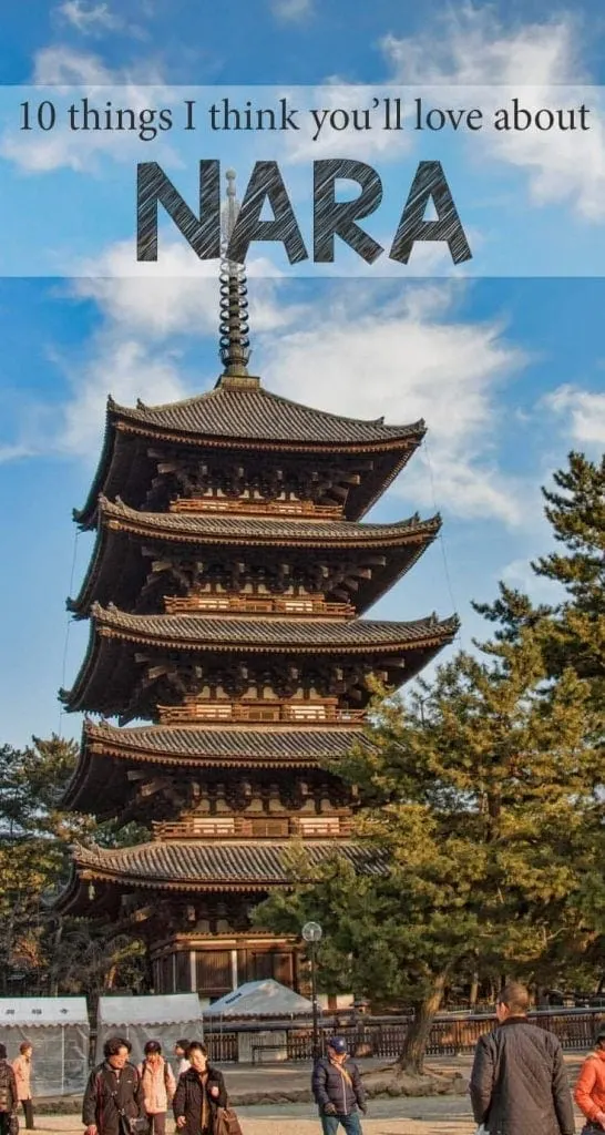 Ten reasons why Nara is one of my favourite small cities in the world