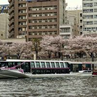 Tokyo River Cruise