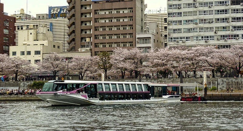 Tokyo River Cruise