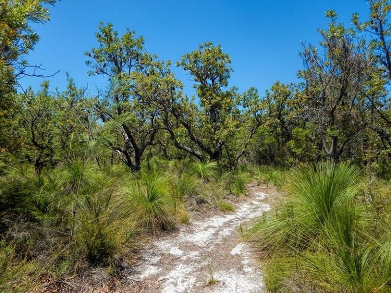 Top things to do on Bribie Island