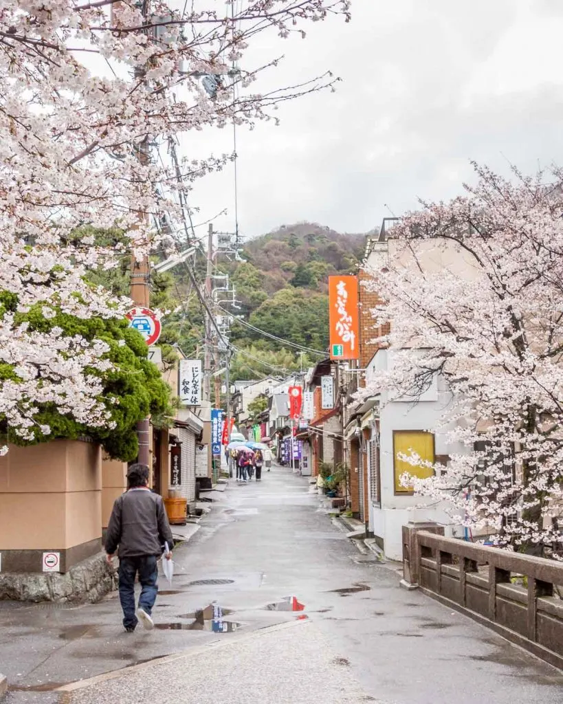 Shopping street in cherry blossom leading to the Silver Pavilion