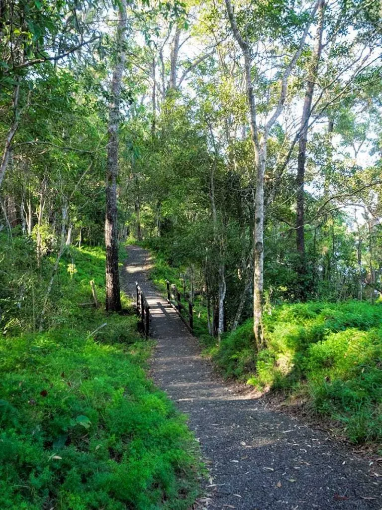 Tallebudgera Conservation Park Walk | 2 Aussie Travellers
