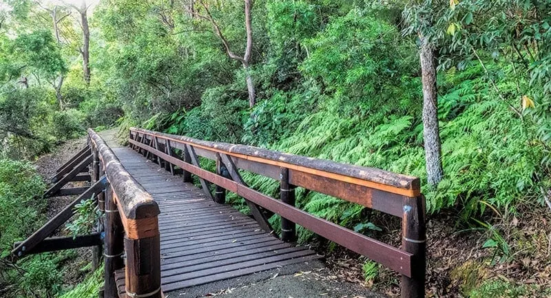 Tallebudgera Conservation Park Walk | 2 Aussie Travellers