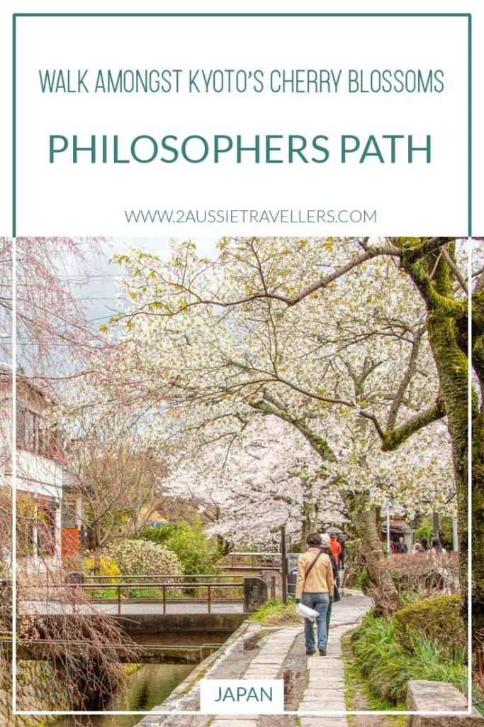 The Philosophers Path in Kyoto, Japan with cherry blossom in spring