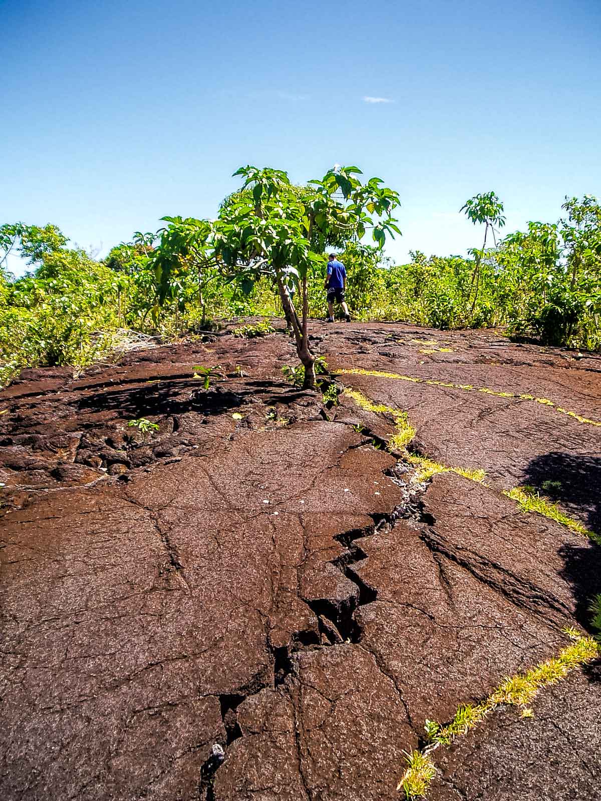 Walking across the lava fields in Savai'i Samoa