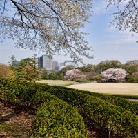 Best Japanese Gardens - Tokyo Imperial Palace
