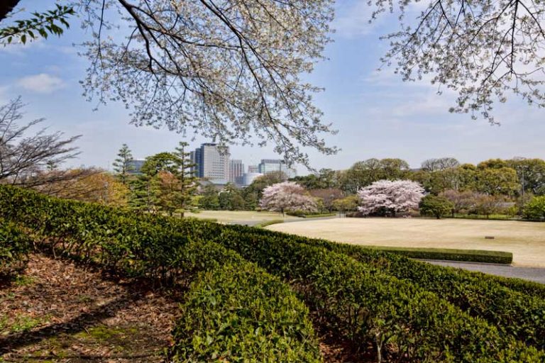 10 Top Japanese gardens to visit