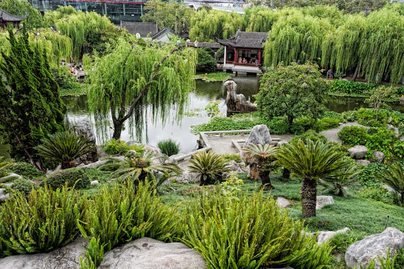 Sydney's Chinese Friendship Gardens