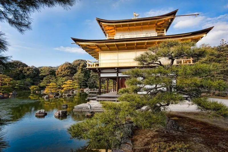 The golden pavilion temple (Kinkaku-ji)