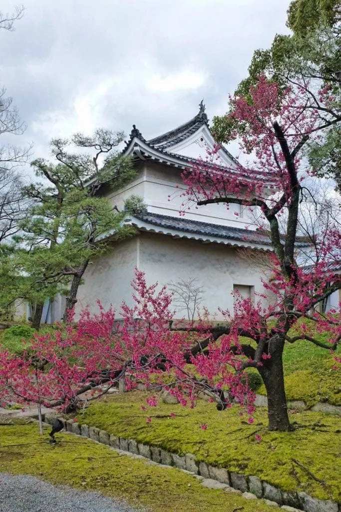The seasons are a feature in Nijo castle in Kyoto