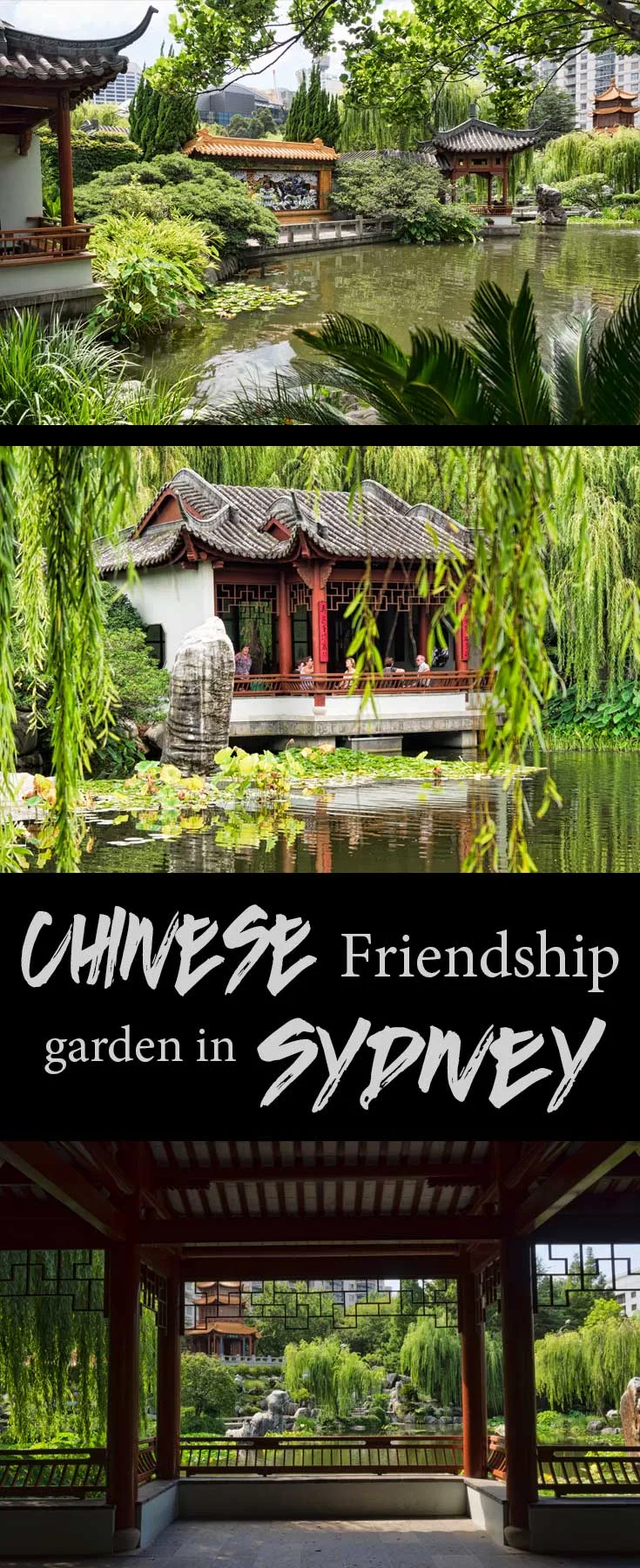 Chinese friendship garden in Sydney