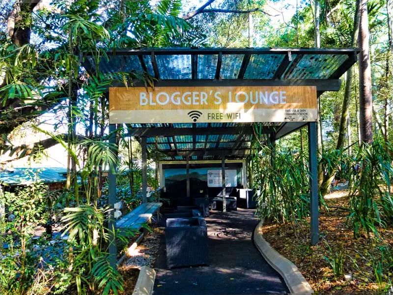 Bloggers lounge Lone Pine Koala Sanctuary
