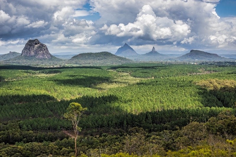 A guide to the Glass House Mountains National Park