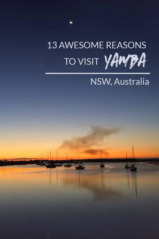 There are many reasons to visit Yamba in NSW, Australia. Here are 13 ideas to get you started.