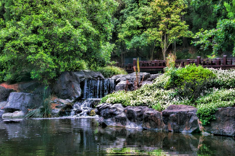 Nerima Japanese Gardens in Ipswich