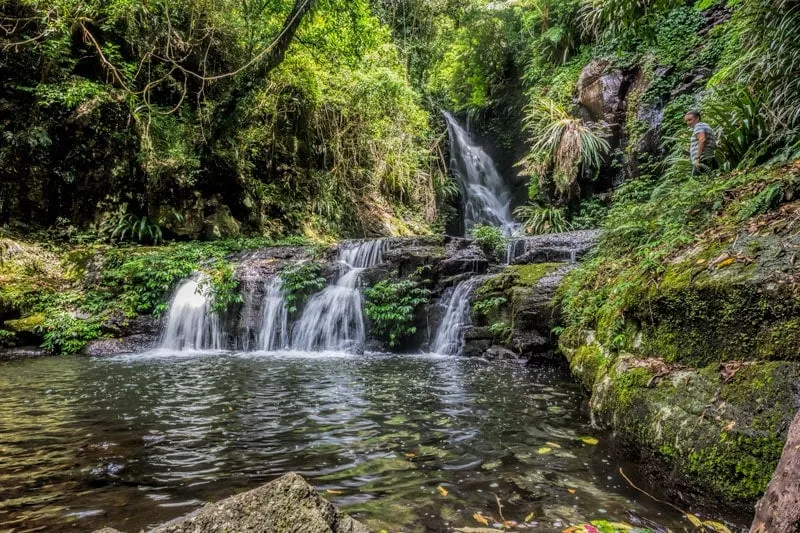 Elabana Falls from O'Reillys Rainforest Retreat