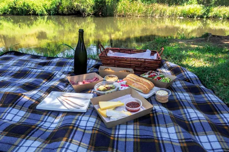 Canungra Valley Vineyards picnic