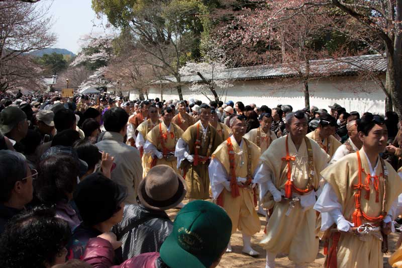 Daigoji Temple - Toyotomi Hideyoshi’s cherry blossom-viewing parade