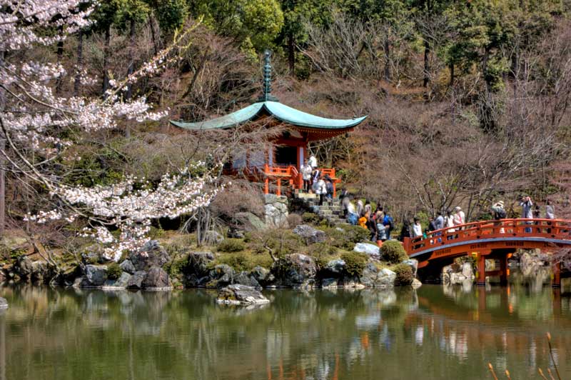 Daigoji Temple and a Sakura Festival