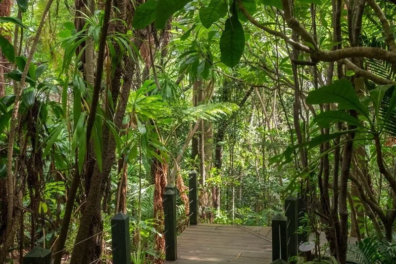 Botanic Garden Norfolk Island