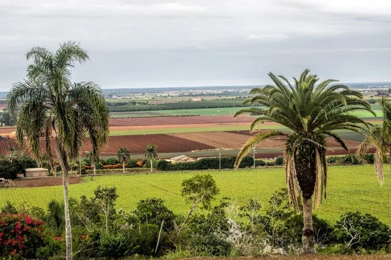 View from the Hummock in Bundaberg