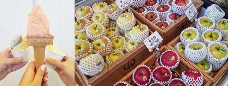 Aomori Apples at A Factory