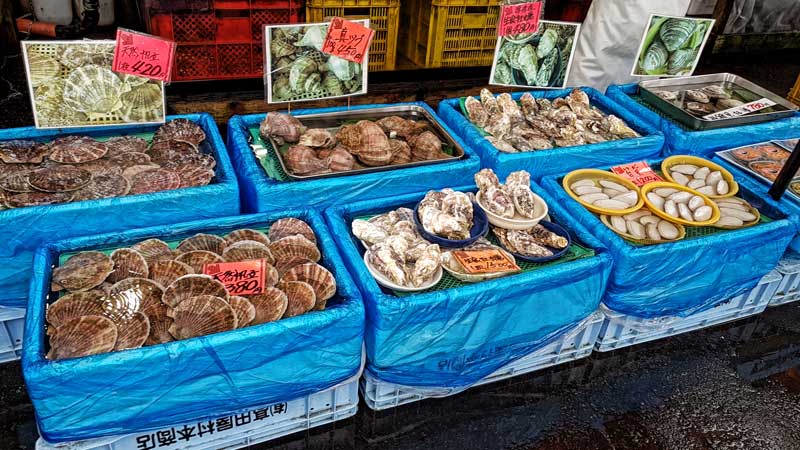 Shellfish at Hakodate Market