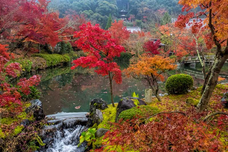 Autumn colours at Eikando in Kyoto