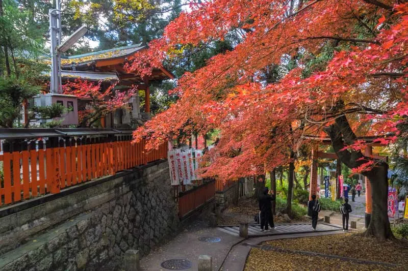 Fall colours at Fushimi Inari Shrine in Kyoto