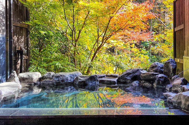 Hakone Yuryo onsen private pool with autumn leaves