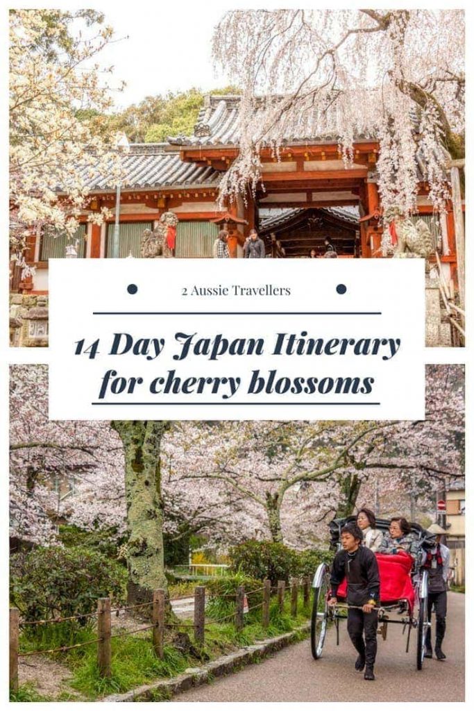 Cherry blossoms in Japan - a 14 day itinerary