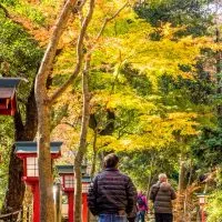 Visitors walk up the main path on Mt Takao during autumn leaves