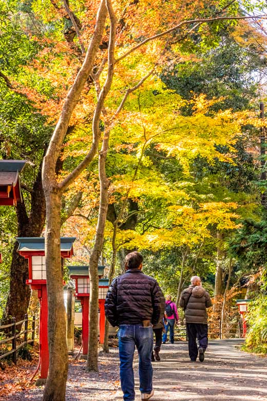 A day trip to Mount Takao (Takao-san) in Tokyo