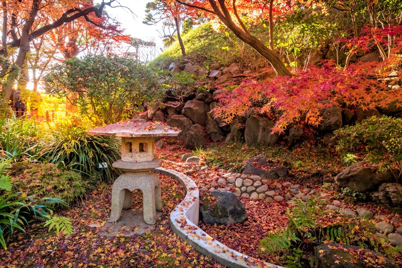 Todoroki Japanese Garden