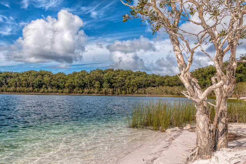 Lago Mackenzie en Fraser Island