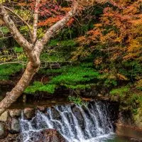 Small waterfall in Minoo Park in Osaka