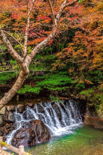 Small waterfall in Minoo Park in Osaka