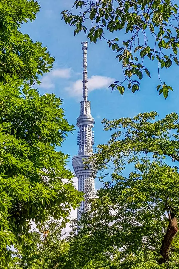 Skytree by day
